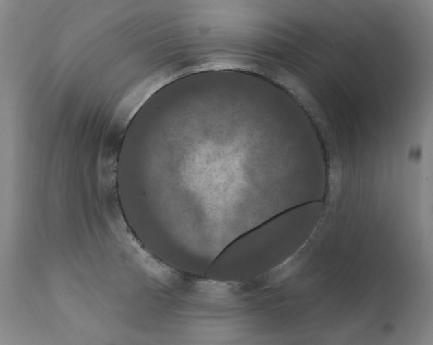 X0000112201185200909041310