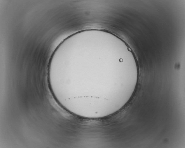 X0000112201187200909041310