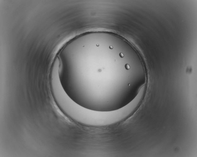 X0000112201189200909041310