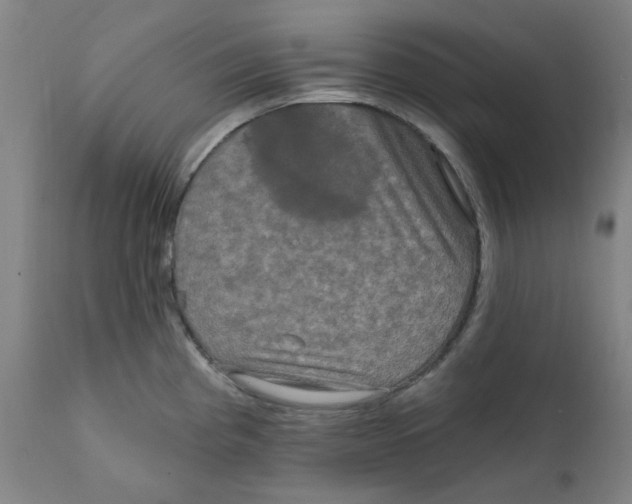 X0000112201193200909041309