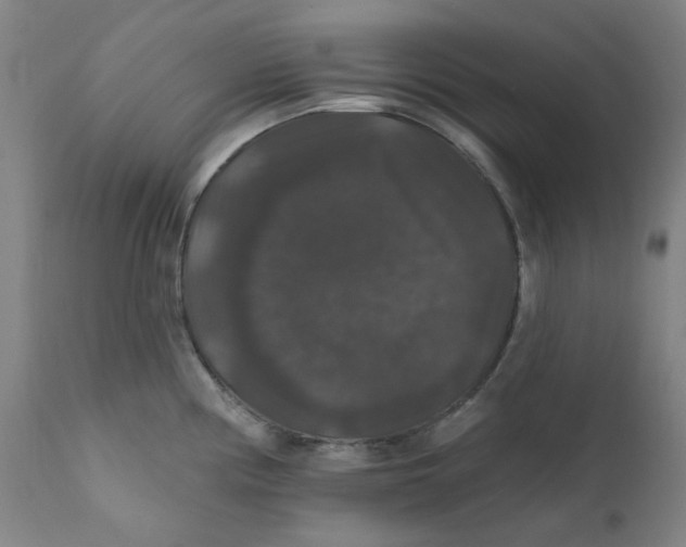 X0000112201194200909041309
