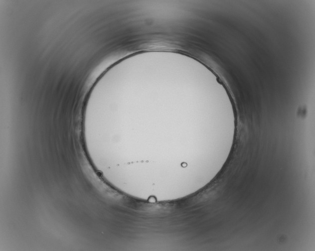 X0000112201195200909041309