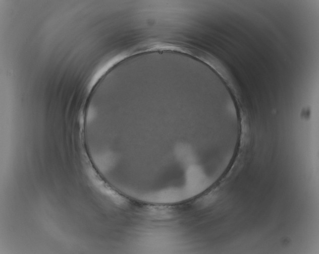 X0000112201198200909041309