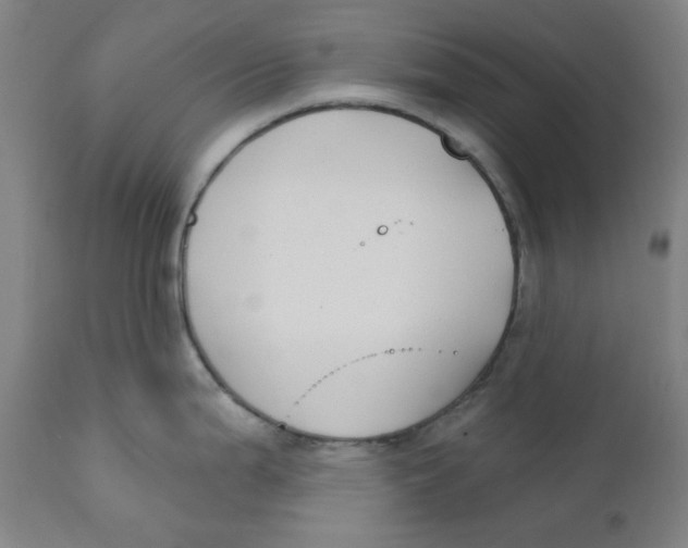 X0000112201199200909041309