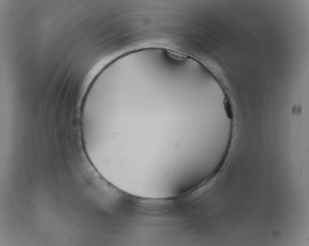 X0000112201200200909041309