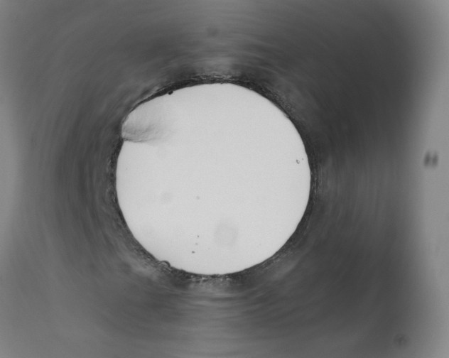 X0000112201201200909041309
