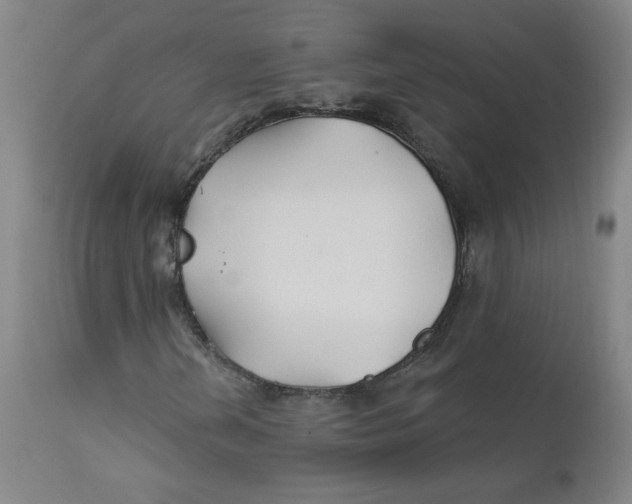 X0000112201202200909041309