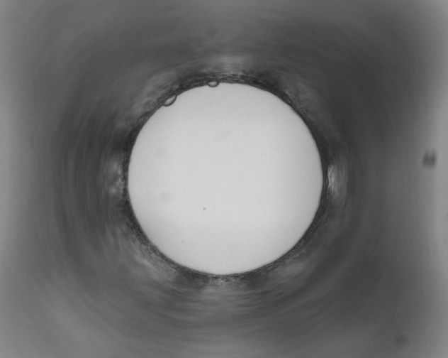X0000112201203200909041309