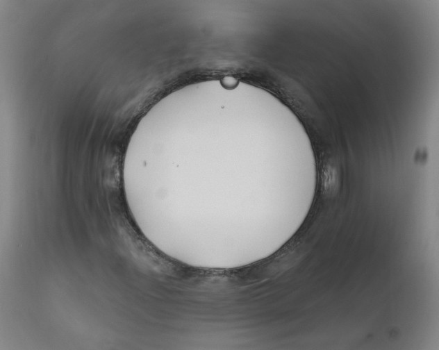 X0000112201204200909041309