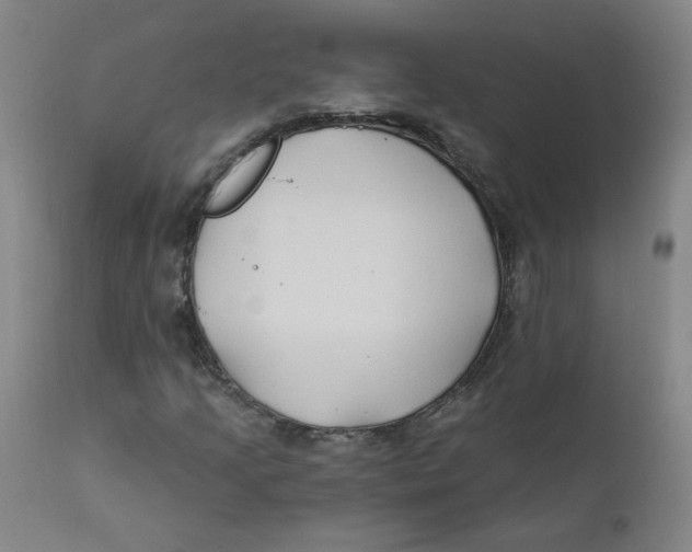 X0000112201205200909041309
