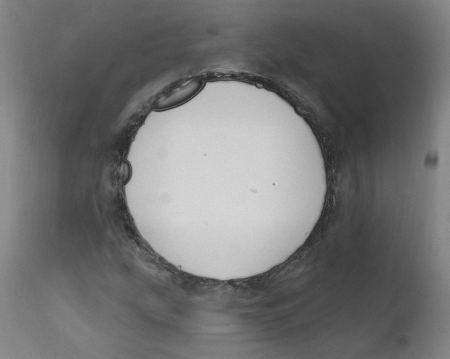X0000112201207200909041309