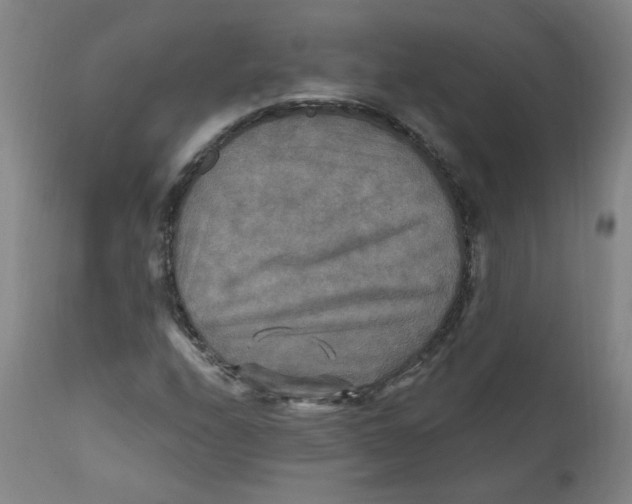 X0000112201208200909041309