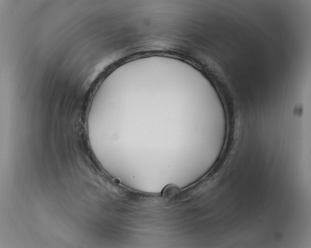 X0000112201210200909041309