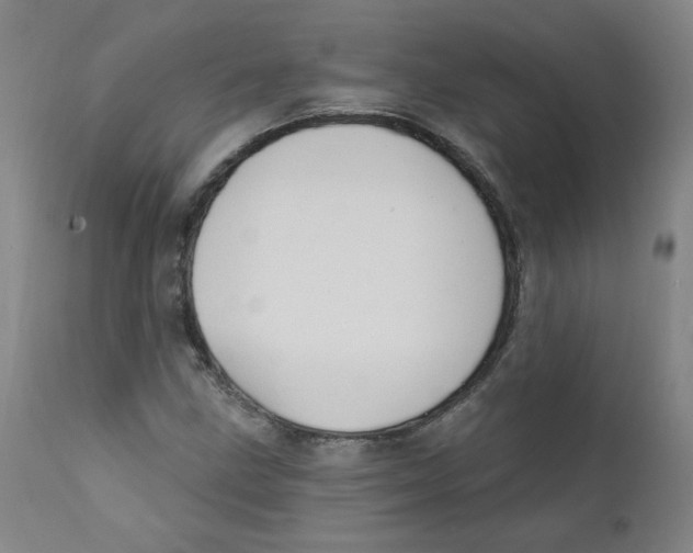 X0000112201211200909041309