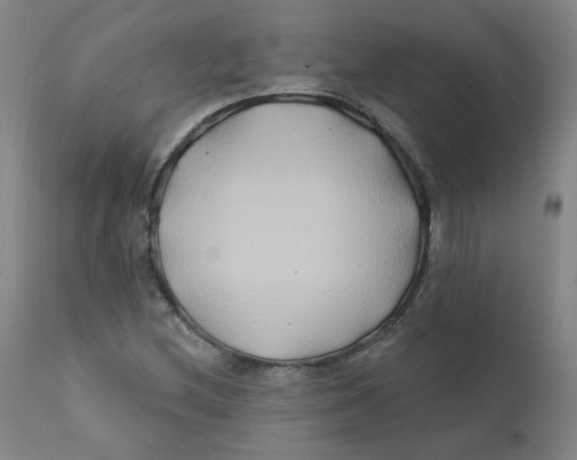 X0000112201212200909041309