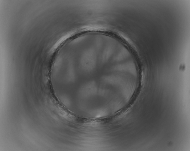 X0000112201213200909041309