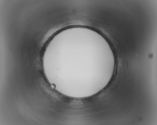 X0000112201215200909041309