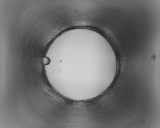 X0000112201217200909041309