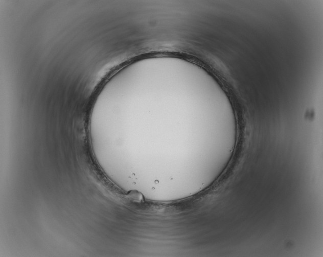 X0000112201218200909041309