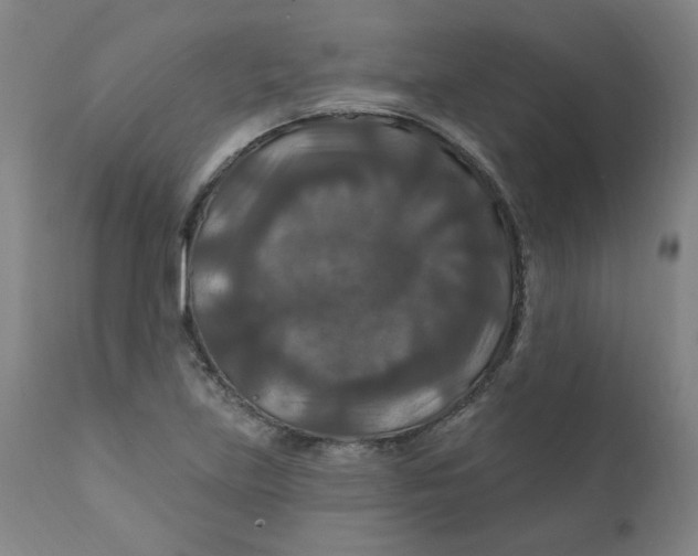 X0000112201219200909041309