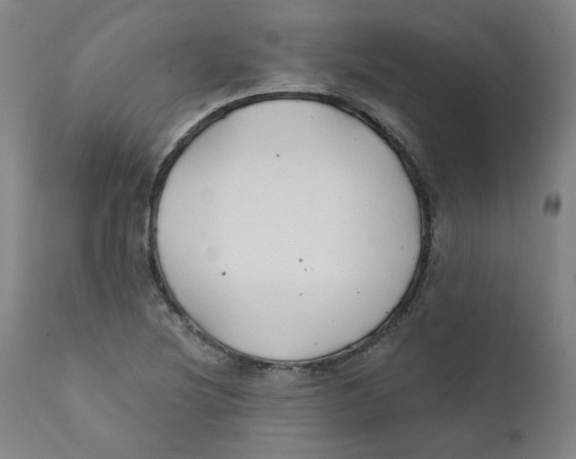 X0000112201220200909041309