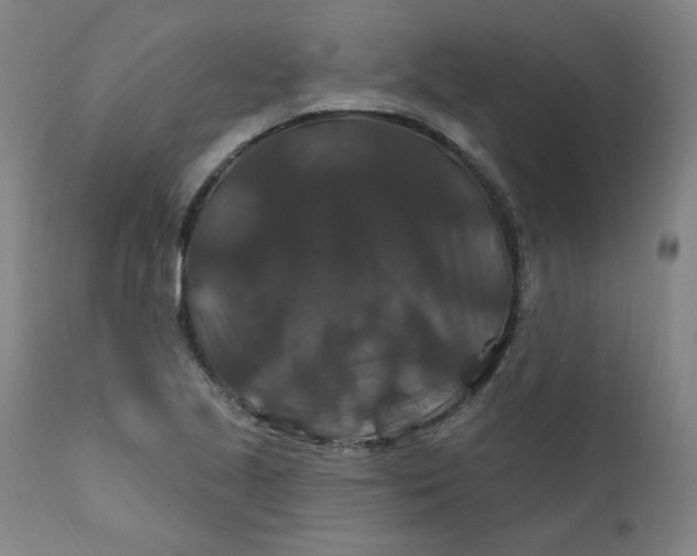 X0000112201221200909041309