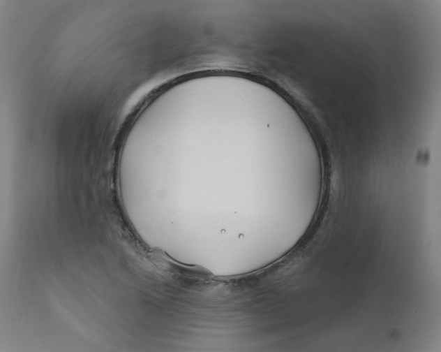 X0000112201222200909041309