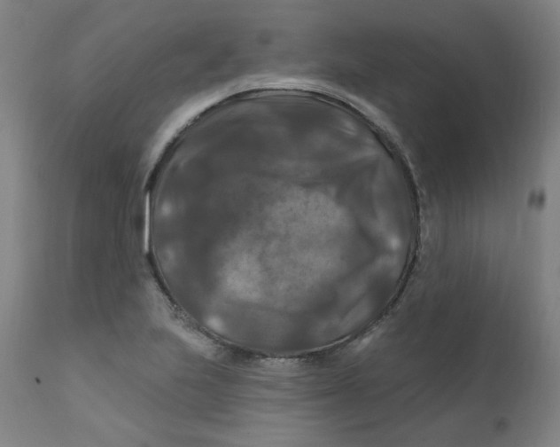 X0000112201223200909041309