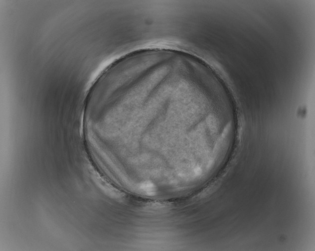 X0000112201224200909041309