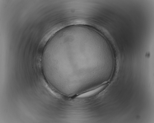 X0000112201225200909041309