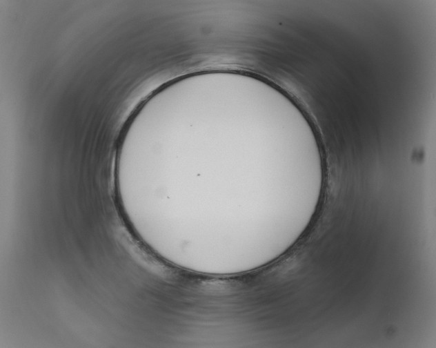 X0000112201227200909041309