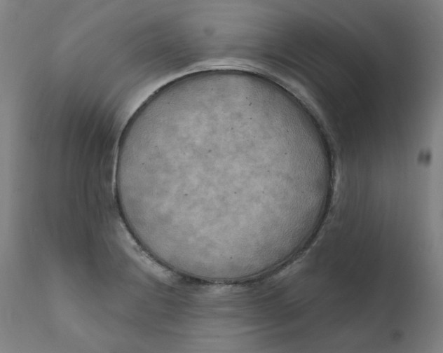 X0000112201228200909041309