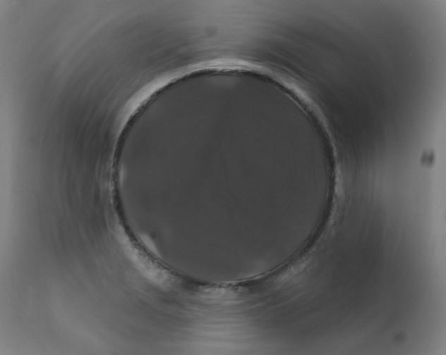 X0000112201229200909041309