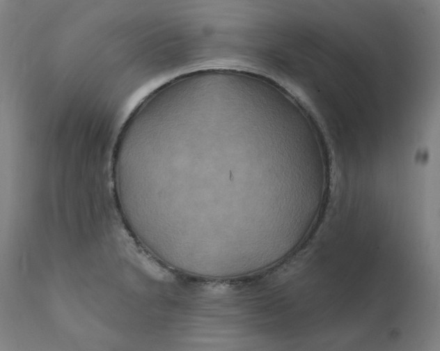 X0000112201230200909041309
