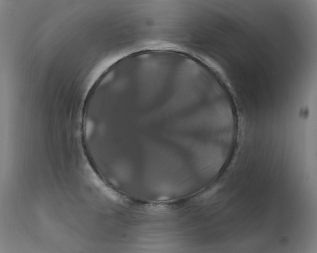 X0000112201231200909041309