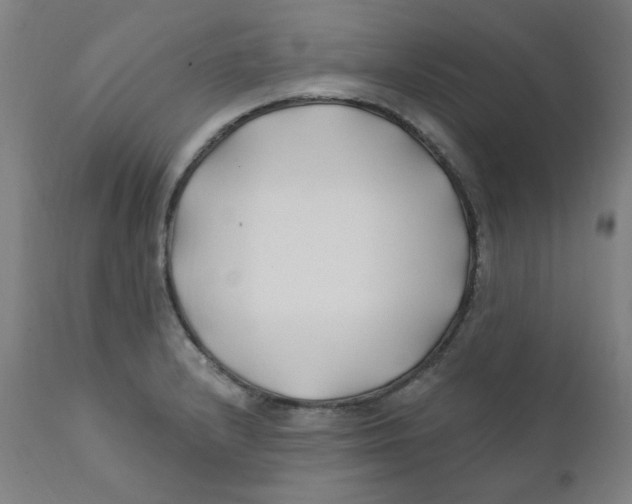 X0000112201232200909041309