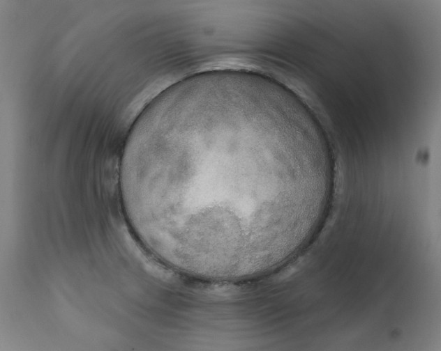 X0000112201233200909041309