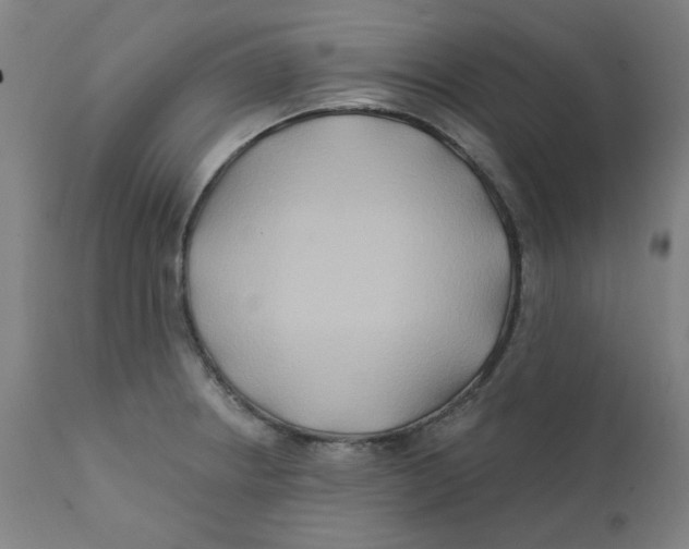 X0000112201234200909041309