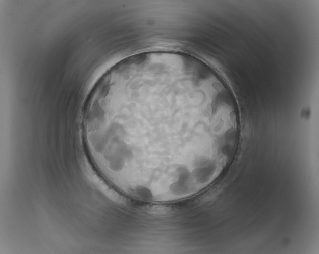 X0000112201235200909041309