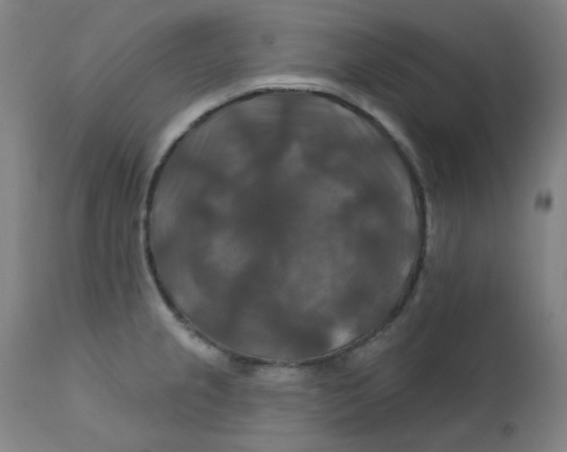 X0000112201237200909041309