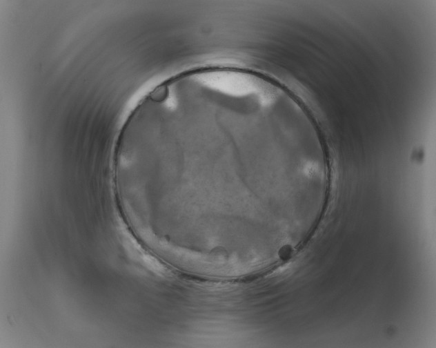 X0000112201240200909041309
