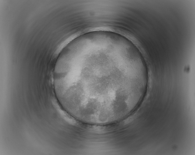 X0000112201241200909041309