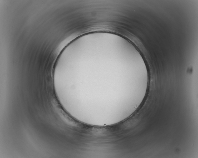 X0000112201242200909041309