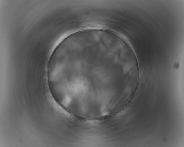 X0000112201243200909041309