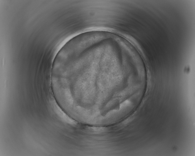 X0000112201244200909041309