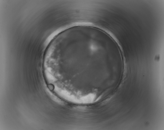 X0000112201245200909041309