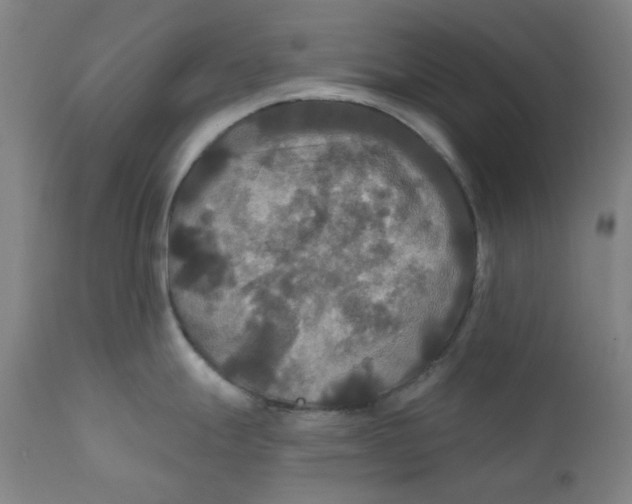 X0000112201247200909041309