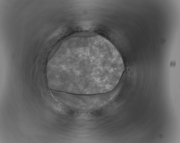 X0000112201249200909041309
