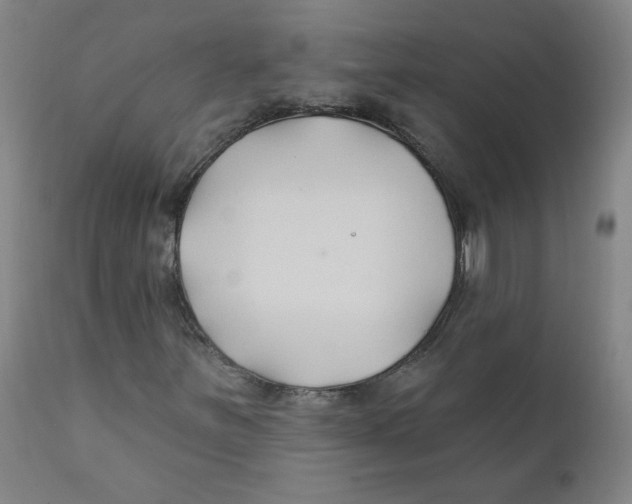 X0000112201251200909041309