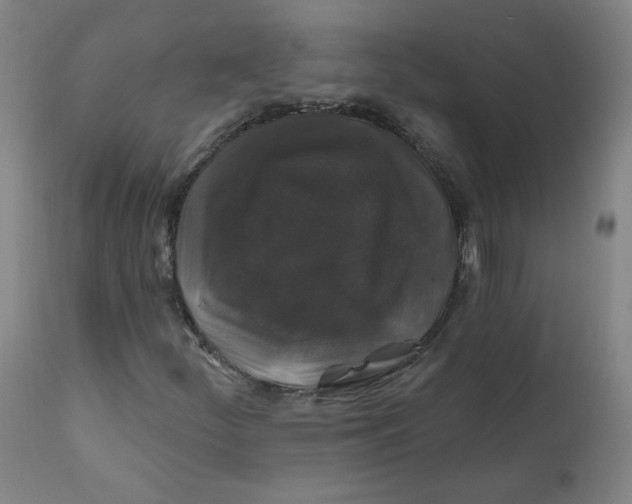 X0000112201252200909041309